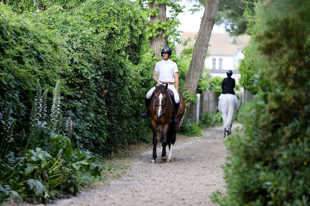 Le cheval au cœur des priorités