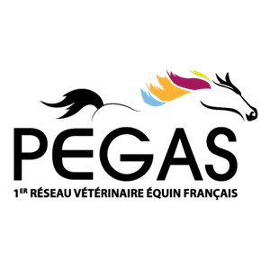 Pegas